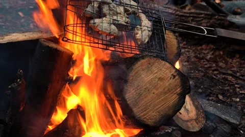 Campfire in the forest in slow motion.  Rest by the fire. Kebab 4 Stock Footage 220749042