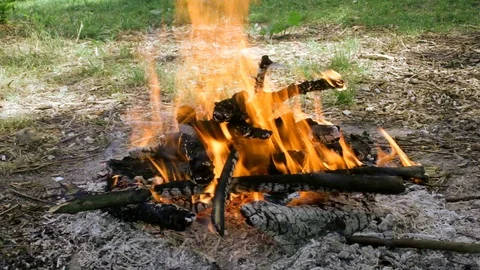 Campfire in the forest in windy weather Video stock 90780301