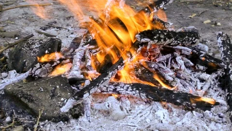 Campfire in the forest in windy weather Video stock 90780337