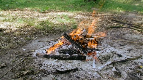 Campfire in the forest in windy weather Video stock 90780524