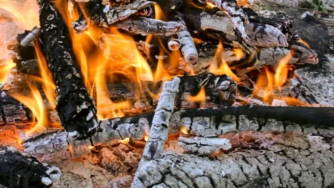 Campfire in the forest in windy weather Video stock 90780583