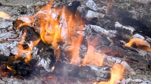 Campfire in the forest in windy weather Video stock 90780801