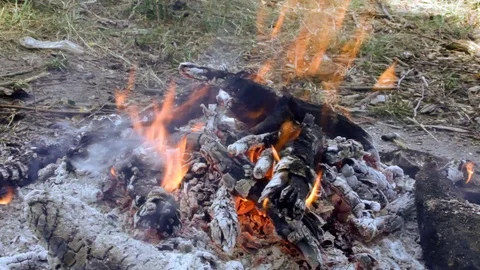 Campfire in the forest in windy weather Video stock 90780888