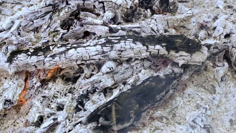 Campfire in the forest in windy weather Video stock 90780952