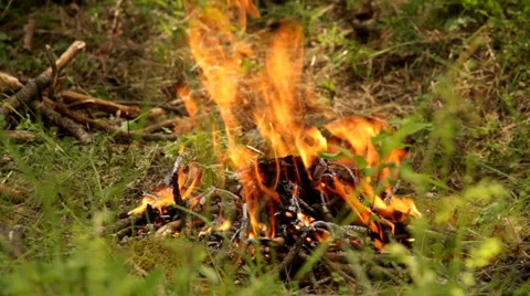 Campfire Full HD 1 Stock Footage 5555205