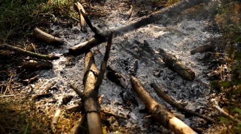 Campfire Full HD 3 Stock Footage 5554855