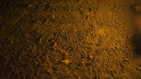 Campfire Glow Stock Footage 115353608