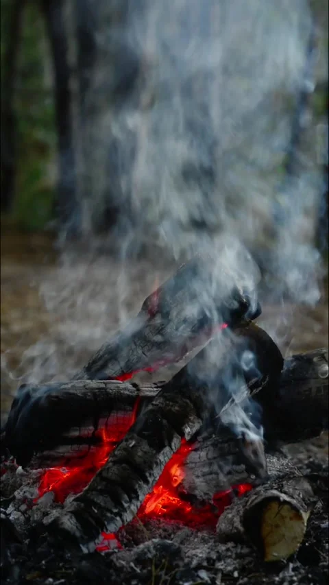 Campfire glowing in the dark woods with bright embers and rising smoke Stock-Footage 345121614