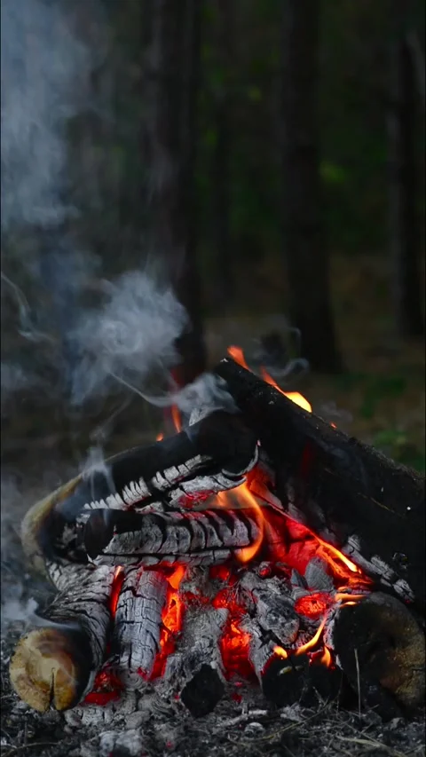 Campfire glowing intensely in the woods with warm embers and smoke Stock Footage 345121593