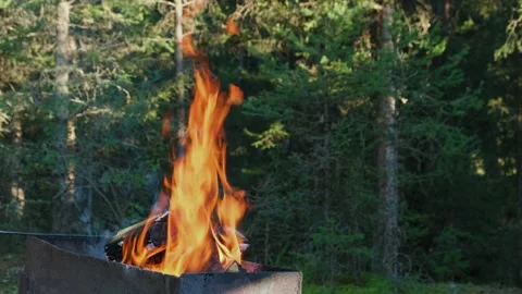 Campfire for grill in the forest. Stock Footage 305031159