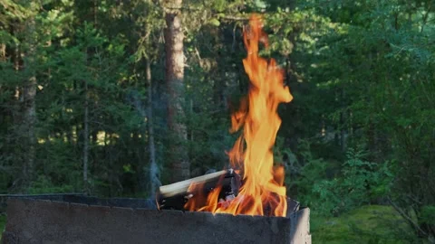 Campfire for grill in the forest. Stock Footage 306029547