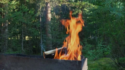 Campfire for grill in the forest. Stock Footage 309894674