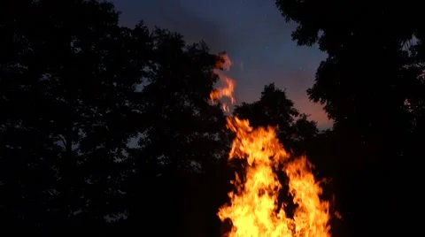 Campfire - high flames - with remaining sky Stock Footage 40359269