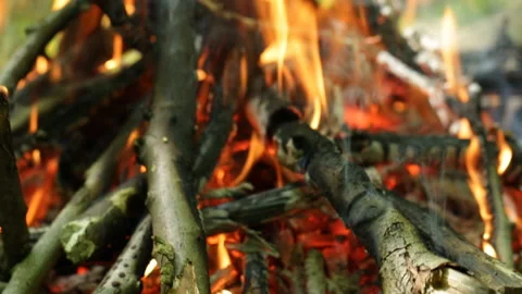 Campfire in a hike Video stock 91654499
