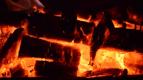 Campfire with hot coals, burning campfire, wood burning Stock Footage 147928770