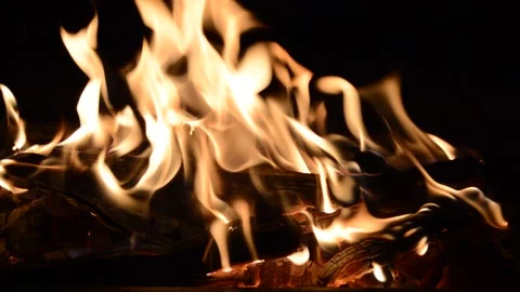 Campfire with hot coals, burning campfire, wood burning Stock Footage 147928849