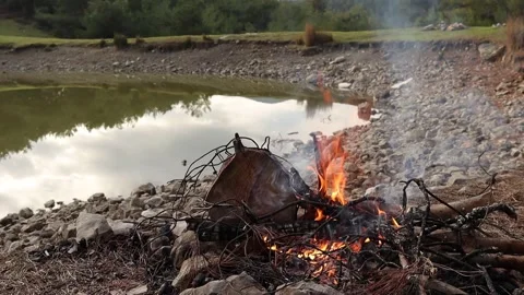 Campfire by the Lake Closeup Stockbeeldmateriaal 328913507