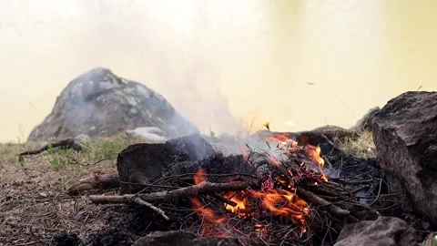 Campfire by the Lake Stock Footage 292160257