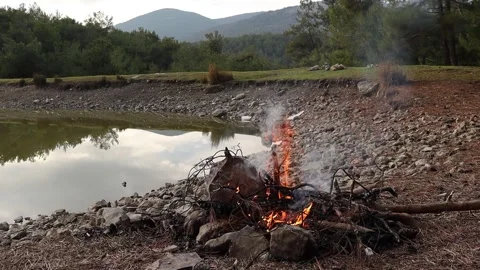 Campfire by the Lake in Slow Motion Stock Footage 328913416