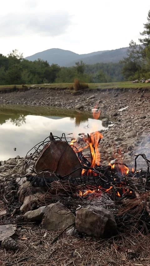 Campfire by the Lake in Slow Motion (Vertical Video) Stock Footage 328913483