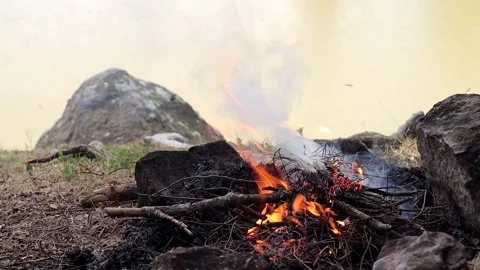 Campfire by the Lake (Slowmotion) Stock Footage 292160258