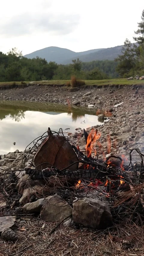 Campfire by the Lake (Vertical Video) Stock Footage 328913470