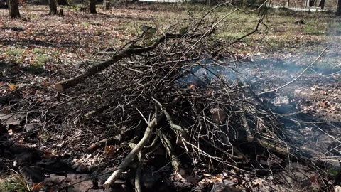 Campfire in the Laurel Mountains Stock Footage 255292981