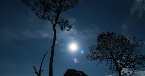 Campfire Lights and Night Sky over Khao Chang Puak Summit (4K Time-lapse) Video stock 107904586