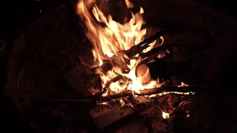 Campfire Logs Burning in a Cozy Camping Setting (4K) Stock Footage 307778401