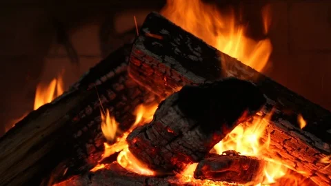 Campfire Logs Burning Static 스톡 동영상 108573996