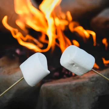 Campfire with marshmallows Stock Photos