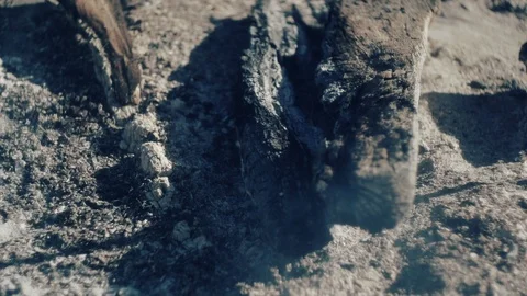 Campfire on medieval picnic Stock Footage 101651094