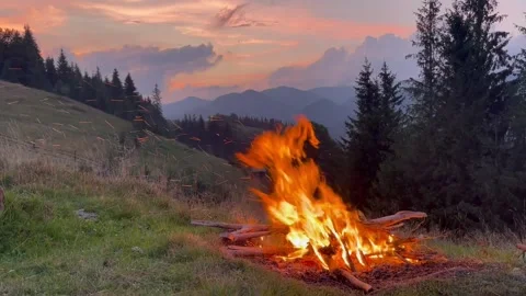 Campfire in the mountain. Camp Fire. Burning bonfire 스톡 동영상 206016589