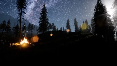 Campfire at mountain rorest at night Stock Footage 98358378