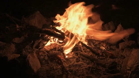 Campfire Moving from Light to Dark in the Night Forest Stock Footage 135117285