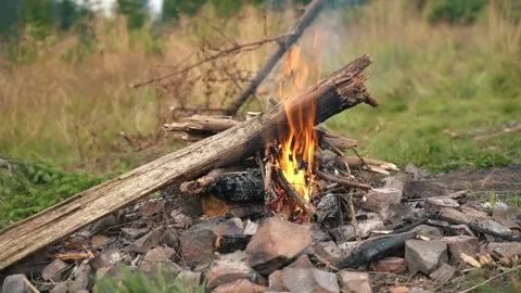 Campfire in nature, a beautiful fire is burning at the campsite of tourists Stock Footage 271598973