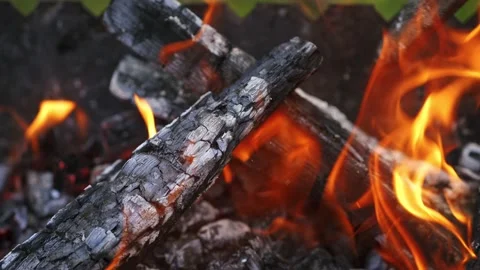 Campfire in nature, closeup Video stock 135108572