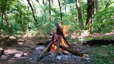 Campfire in nature Stock Footage 95445929