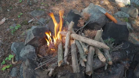 Campfire in nature Video stock 160437385