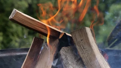 Campfire in nature Stock Footage 240534090
