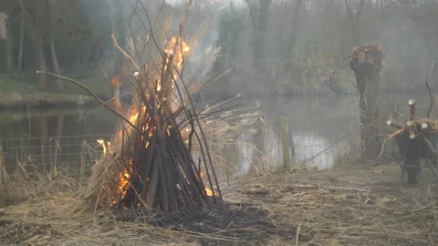 Campfire Next to River Stock Footage 148278656