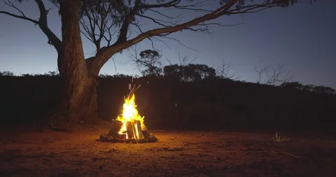 Campfire next to tree during dusk Stock-Footage 115049118