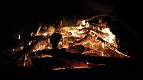 Campfire at night 1 min Stock Footage 81302034