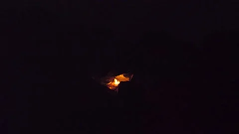 Campfire at night bright flame, bonfire in the forest Vídeos de archivo 227900213