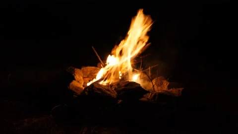 Campfire at night bright flame, bonfire in the forest Vídeos de archivo 227900230