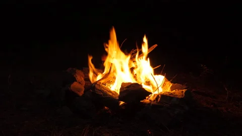 Campfire at night bright flame, bonfire in the forest Vídeos de archivo 227900331