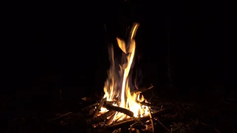 Campfire at night, burning fire bonfire Stock Footage 81185161