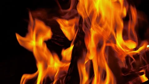 Campfire at night, close up. Burning fire bonfire, slow motion Stock Footage 147100164