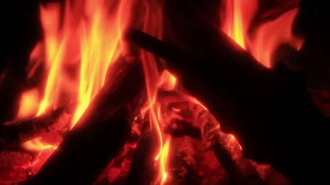 Campfire night Close Stock Footage 82875337