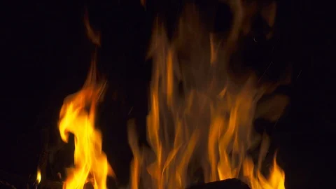 Campfire at night close up Stock Footage 97754744
